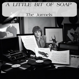 A Little Bit Of Soap by The Jarmels