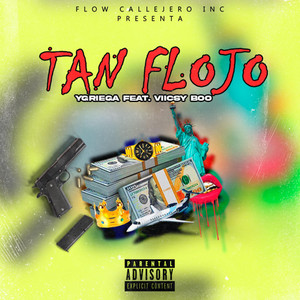 Flojo by Ygriega, Viicsy Boo