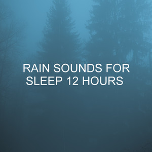 Rain Sounds for Sleep 12 Hours album