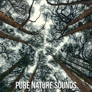 Pure Nature Sounds