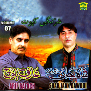 Shah Jaan Dawodi - Yaadein Taraman