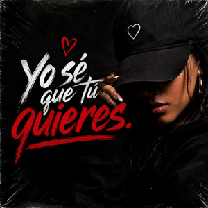 Yo Se Que Tu Quieres by Dany Flow