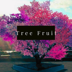 Portada de Tree Fruit