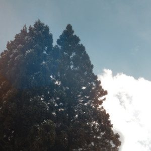 Broken Feeling (feat. RIME) by Ru-ru, RIME