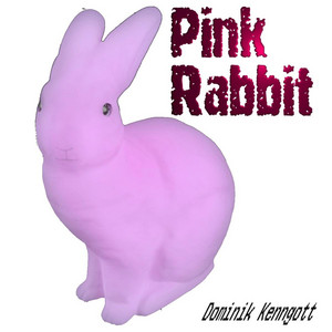 Dominik Kenngott poster