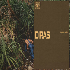 not even noticed — diras (2026)