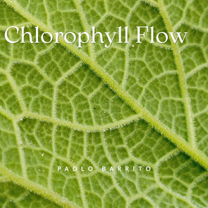 Chlorophyll Flow by Paolo Barrito