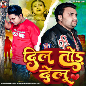 Dil Tod Delu by Mithu Marshal, Awadhesh Premi Yadav