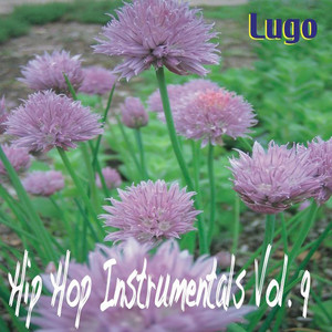 Hip Hop Instrumentals Vol. 9 cover