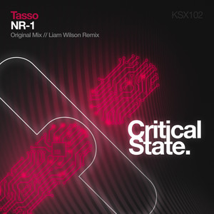 NR-1 - Original Mix by Tasso