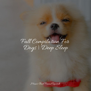 Fall Compilation For Dogs | Deep Sleep album