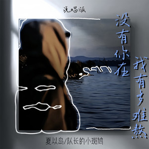 没有你在我有多难熬 - 说唱版 by 夏以岛, 队长的小斑鸠