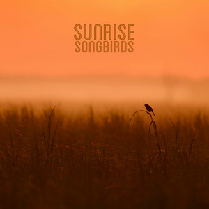 Sunrise Songbirds by Four Winds