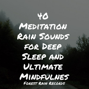 40 Meditation Rain Sounds for Deep Sleep and Ultimate Mindfulness album