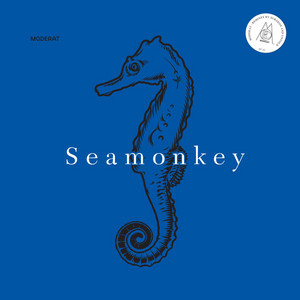 Seamonkey - Surgeon Remix cover art