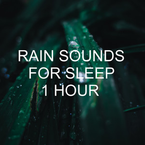 Rain Sounds for Sleep 1 Hour album