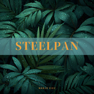 Steelpan by Marjo Eiec
