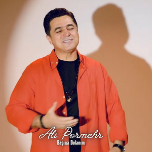 Başına Dolanım by Ali Pormehr