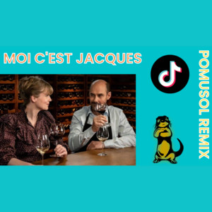 Pomusol - Moi c'est Jacques (Pomusol Remix)