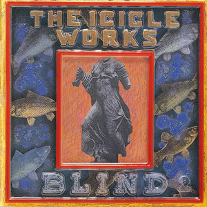Blind cover