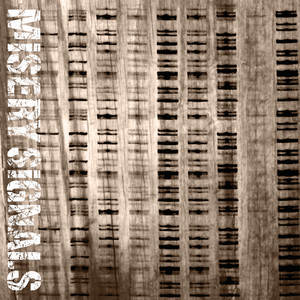1stアルバムCD「Of MISERY ■[廃盤] SIGNALS Malice