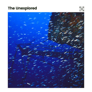 The Unexplored album