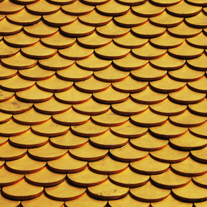 Naiara Costa Da Silva - Top of Success