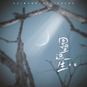 回望这一生（DJ豪大大版） by 大笨