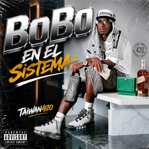 BOBO EN EL SISTEMA by taiwan420