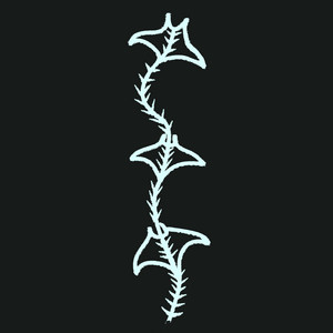 Root System - Original Mix by Singular Anomalies