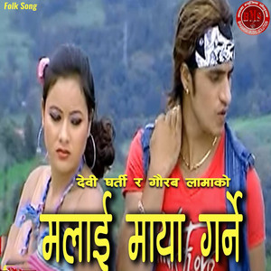 Malai Maya Garne