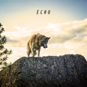 Echo by Don Oyster