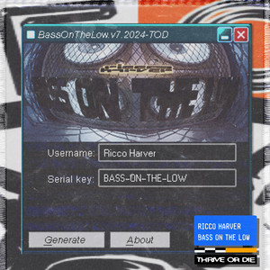 Bass on the low cover art