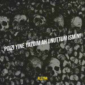 Poizi Yine Yazdim Ah Unuttum Ismini by Aleyna