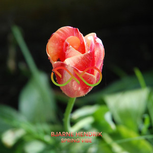 Spring Vibe by Bjarne Hendrik