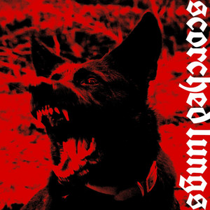 puncture wounds by scorched lungs