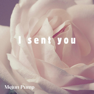 I sent you by Mejun Pump