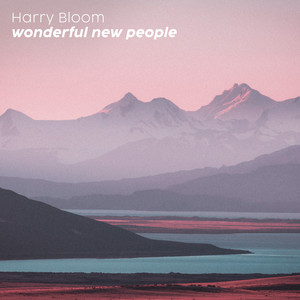wonderful new people by Harry Bloom