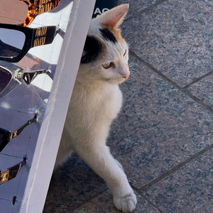 Marrakesh by Daaki