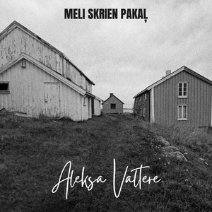 Meli skrien pakaļ