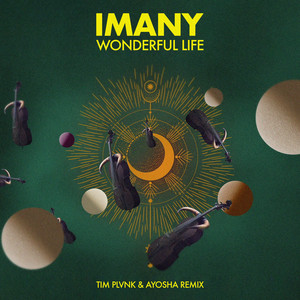 Wonderful Life (TIM PLVNK & Ayosha Remix) cover art