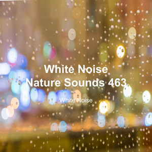White Noise 463 (Rain Sounds, Bonfire Sound, Baby Sleep, Deep Sleep)