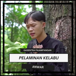 Pelaminan Kelabu (feat. Anwar)