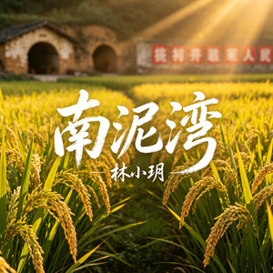 南泥湾 (雷鬼版) by 林小玥