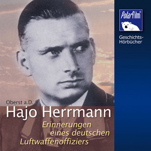 Hajo Herrmann (Erinnerungen eines deutschen Luftwaffenoffiziers)