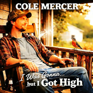 I Was Gonna...But I Got High by Cole Mercer