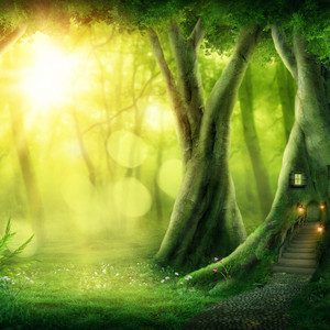 Heart and Serenity by primitiveFootsteps