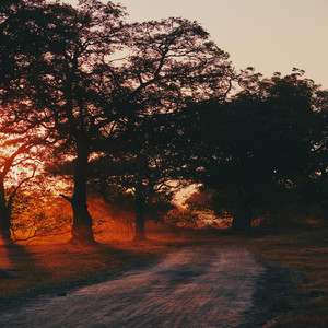 Dusty Road — cover art by Liz Erickson