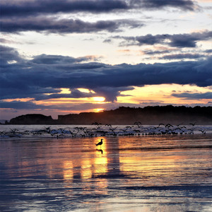 Andrei Krylov - Scottish Highland Jig