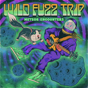 Meteor Encounters by Wild Fuzz Trip